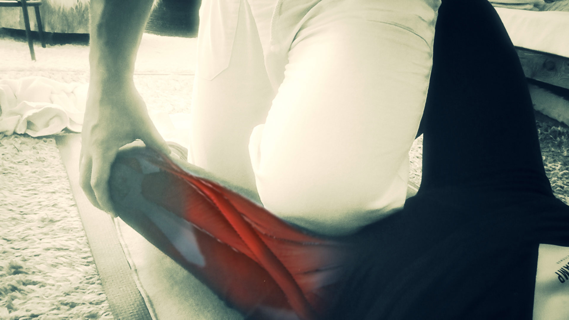 groin