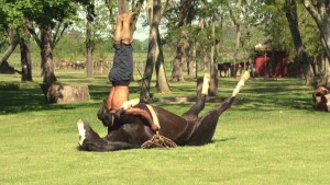 hourse acro yoga