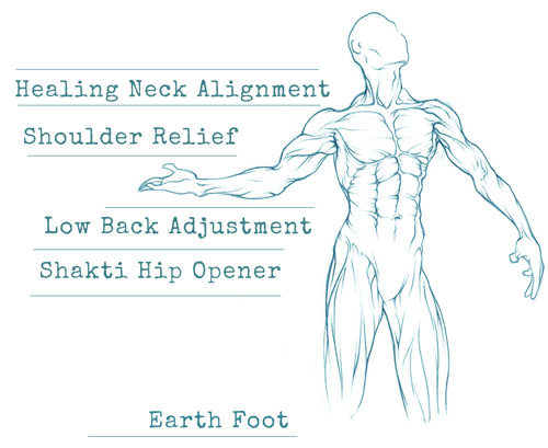 Bodywork Chart