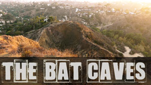 the-batcaves