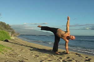 sun salutation video