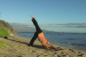 vinyasa yoga videos