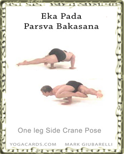 Eka-Pada-Parsva-Bakasana