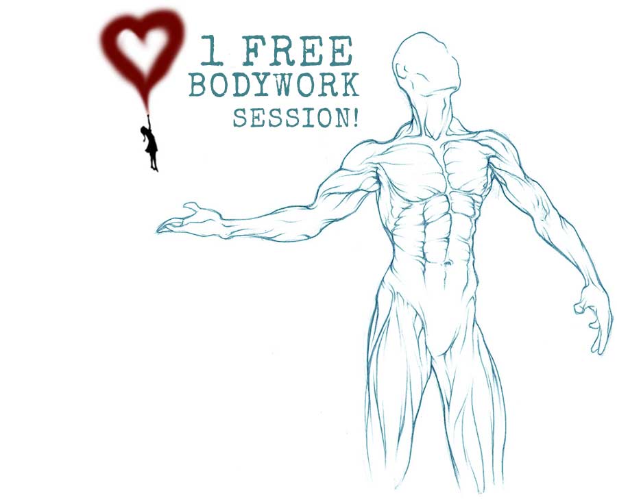bodywork free session muscles
