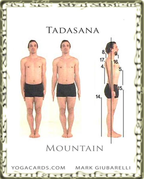 taskade vs asana taskade vs asana